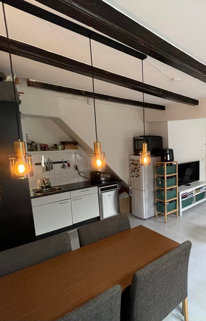 Hanglamp, Ophalen, Zo goed als nieuw, Minder dan 50 cm