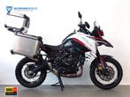 Benelli TRK702X TRK 702 X, Bedrijf, Meer dan 35 kW, Toermotor, 698 cc