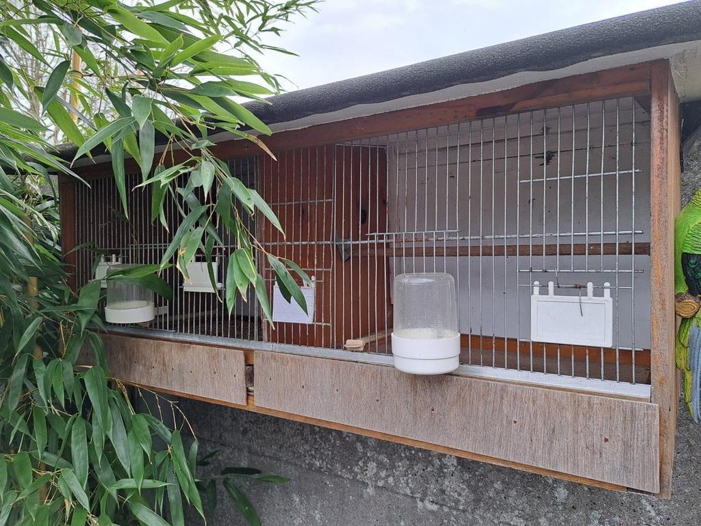 Vogel kooi, Ophalen, Gebruikt, Hout, Vogelkooi