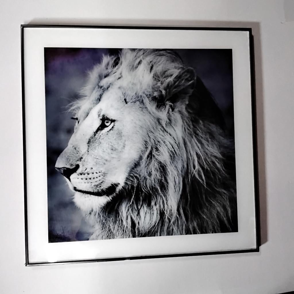 Schilderijen, Minder dan 50 cm, Gebruikt, Ophalen of Verzenden, Schilderij