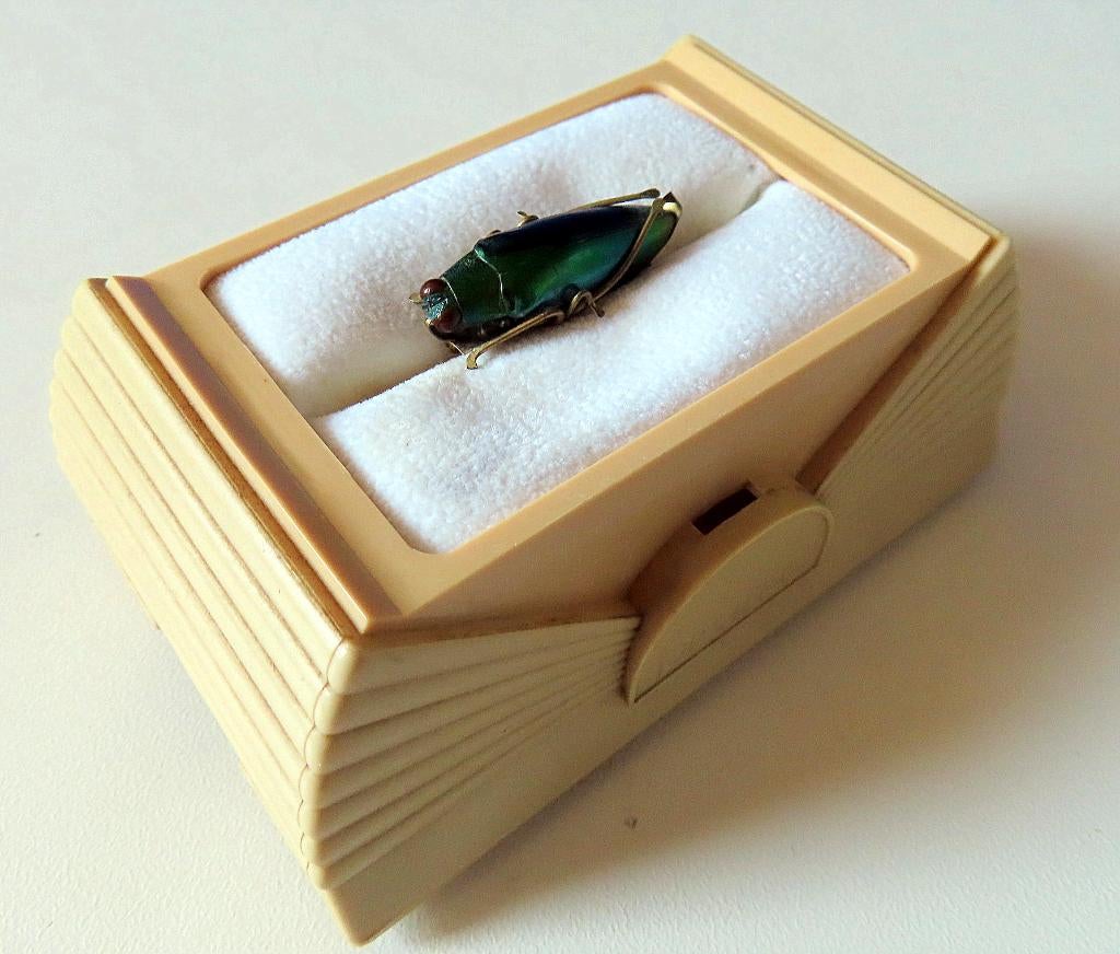 Uit inboedel:Broche met echte iriserende juweelkever, victor, Verzenden, Overige materialen, Broche