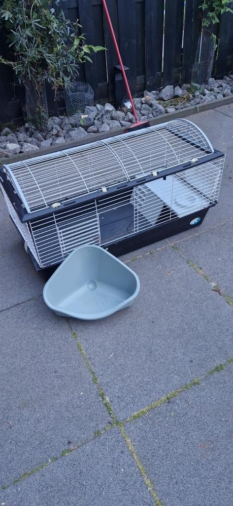 Konijnenhok, caviahok, Dieren en Toebehoren, Ophalen, Overige typen