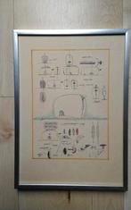 Alessandro Mendini Coolwall Toaster H 1994 Ontwerp Prent, Antiek en Kunst, Ophalen