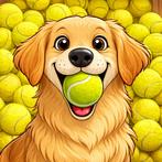 25 gebruikte tennisballen en padelballen, Ophalen of Verzenden, Gebruikt, Hondenballen