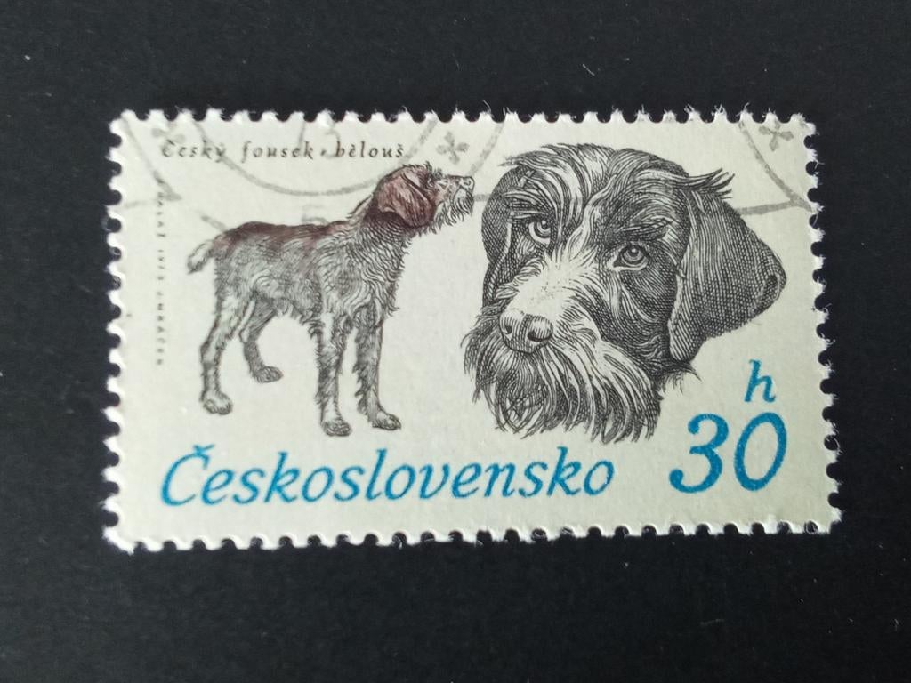 Tsjeslowakije 42 - hond, Verzenden, Gestempeld, Dier of Natuur
