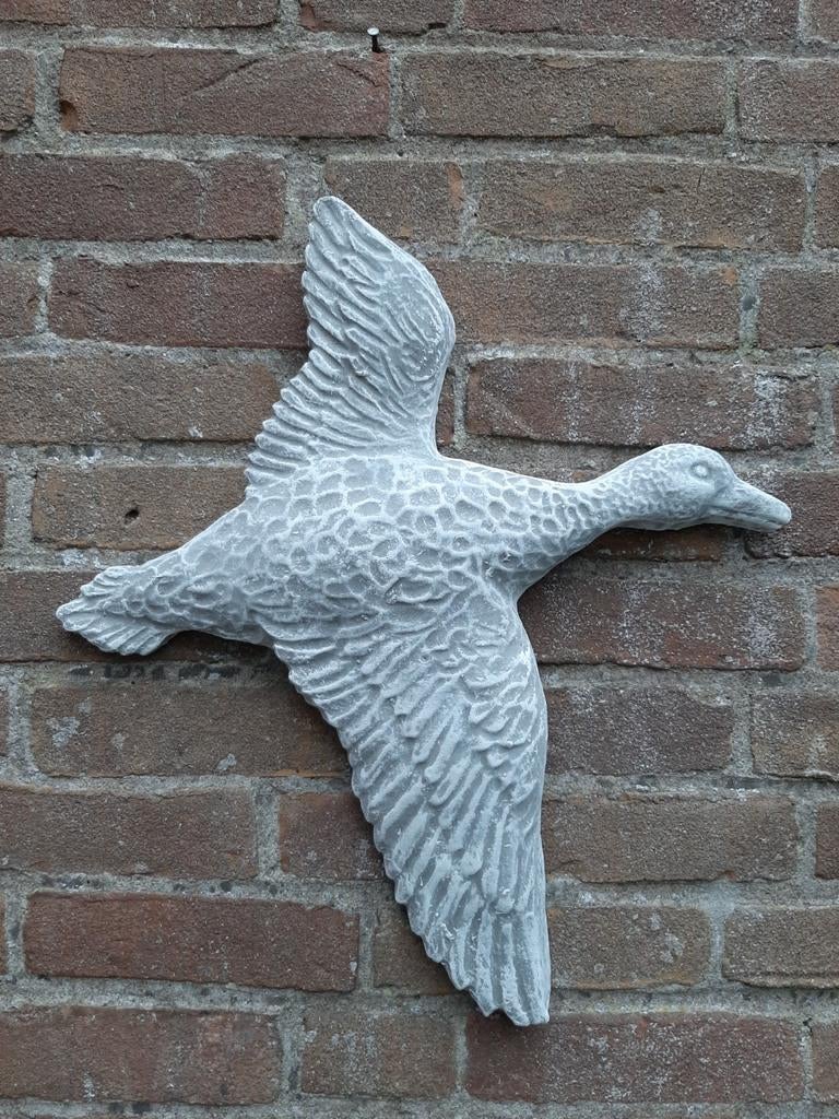 Eend wanddecoratie betonnen beeld tuinbeeld beton, Ophalen