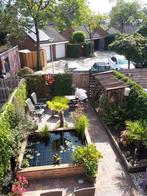 Vijverbak met filter en pomp, Ophalen, Gebruikt, Leeg aquarium