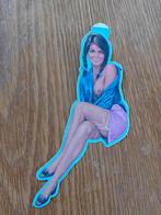 Pin up sticker 23x7cm - 1979, Ophalen of Verzenden, Nieuw, Bedrijf of Vereniging