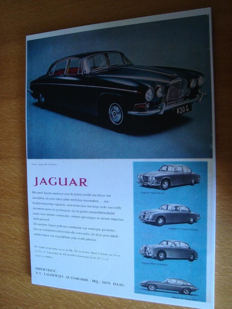 Jaguar plaat 42-30 cm, Ophalen of Verzenden, Nieuw, Auto's
