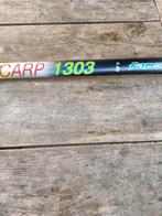 vishengel 9.80m, Watersport en Boten, Hengelsport | Algemeen, Ophalen, Zo goed als nieuw, Vaste hengel