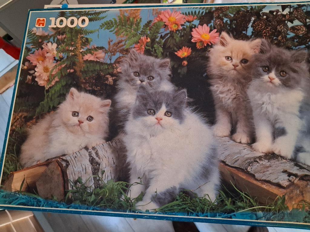 Legpuzzel 1000 stukjes, Ophalen, 500 t/m 1500 stukjes, Zo goed als nieuw, Legpuzzel