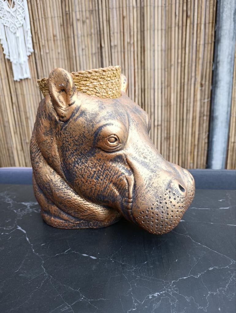 Unieke Nijlpaard Bloempot - Goudkleurig, Ophalen, Overige materialen, Gebruikt, Binnen
