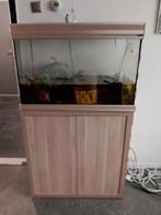 Gratis aquarium zelf schoonmaken, Ophalen of Verzenden, Leeg aquarium