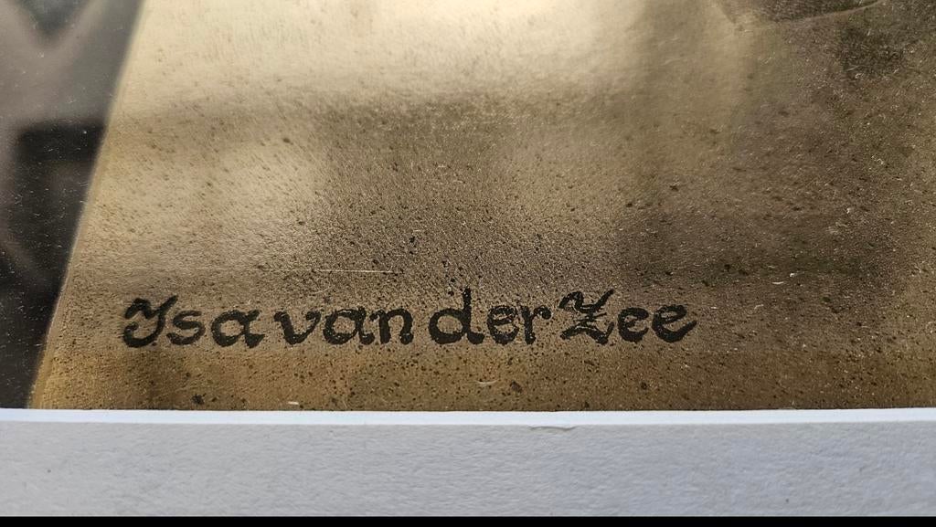 Prachtig modern werk van Isa van der Zee, Antiek en Kunst, Ophalen of Verzenden