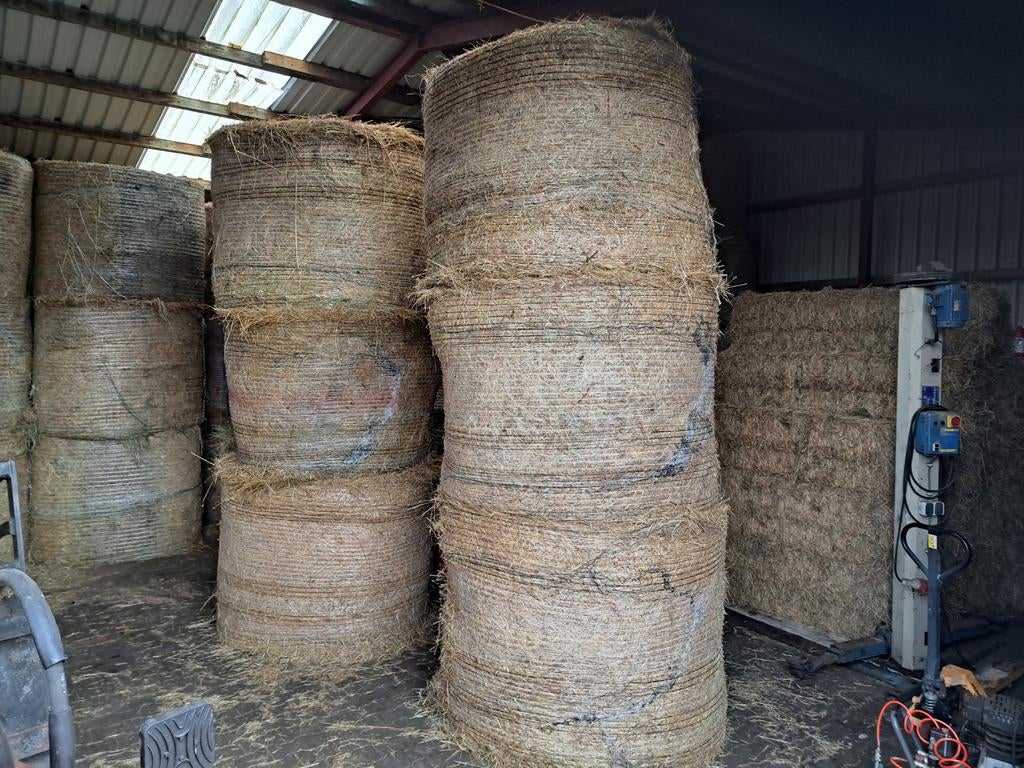 Kleine hooi pakjes of grote ronde balen hooi of in folie, Dieren en Toebehoren, Dierenvoeding, Ophalen of Verzenden, Vee