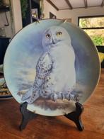 Sneeuwuil Bord - Raymond Watson Limited Edition, Ophalen of Verzenden