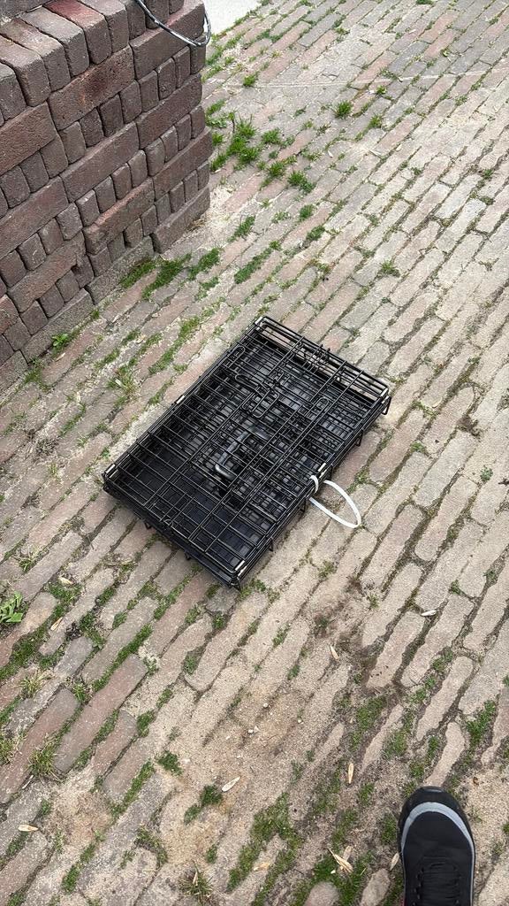 Kleine bench, Minder dan 65 cm, Ophalen of Verzenden, Zo goed als nieuw, Minder dan 75 cm