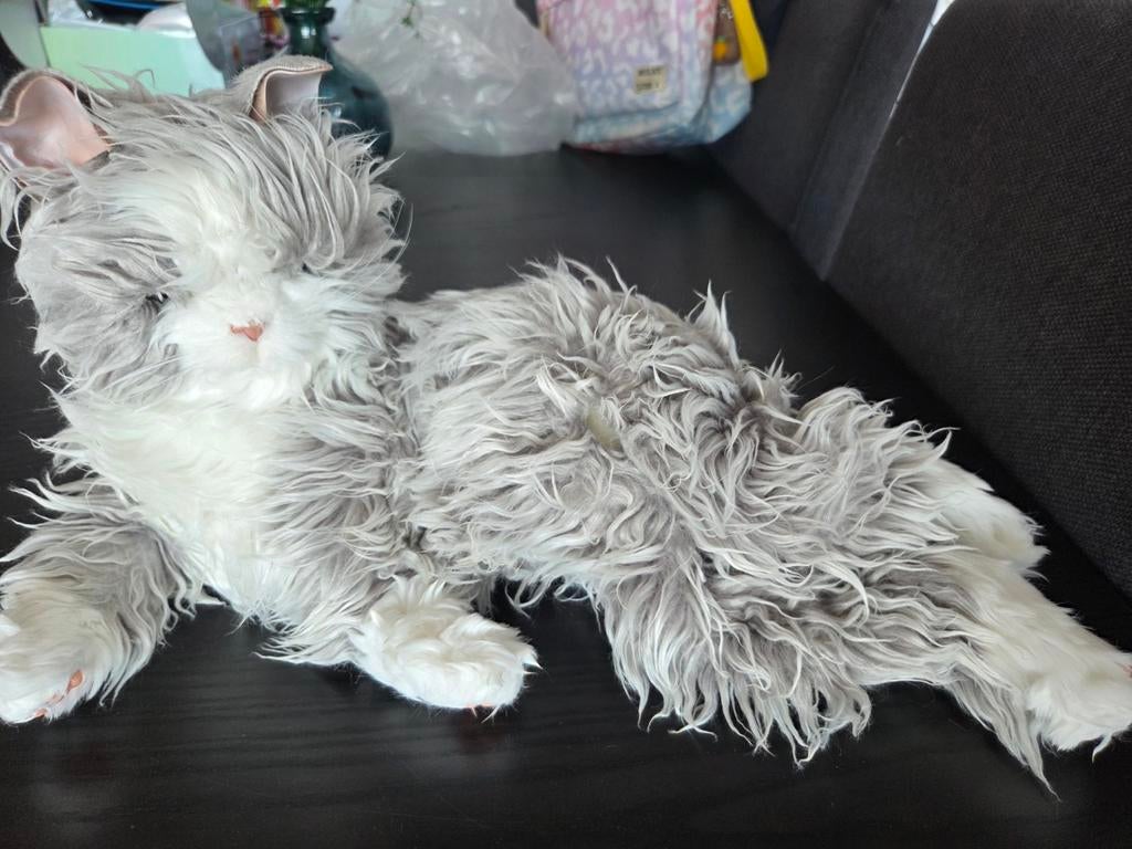 Interactieve robot kat, Ophalen, Gebruikt, Overige merken, Overige karakters