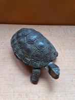 Schildpad Beeld doosje ca. 1900 depositato italie antiek, Ophalen of Verzenden