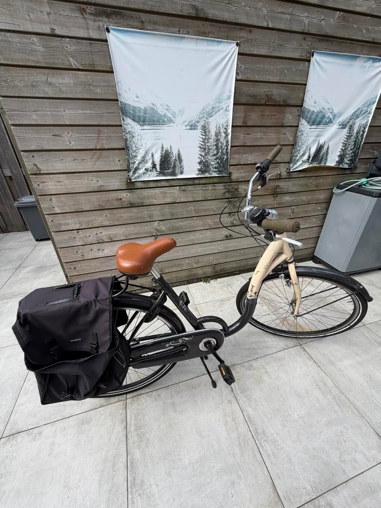 Damesfiets met lage instap en versnellingen, Overige merken, Ophalen of Verzenden, 53 tot 56 cm, Gebruikt