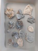 Partij chalcedoon rozen, Ophalen of Verzenden