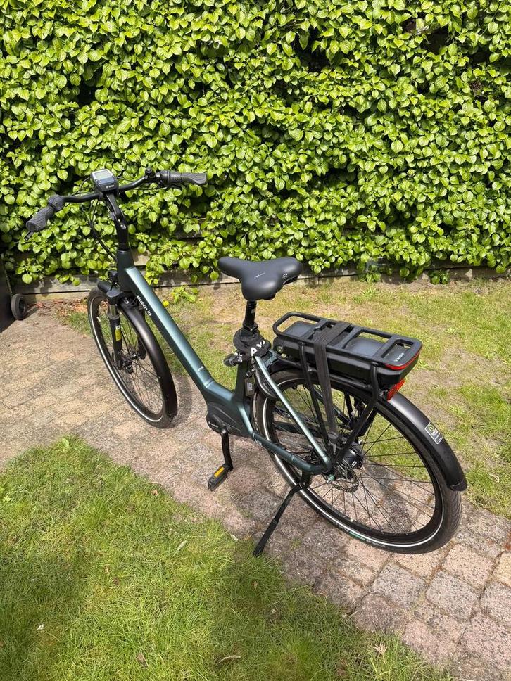 Dutch ID Wave2 50 Belt | Bosch 500Wh | 273 km | bijna nieuw, Fietsen en Brommers, Elektrische fietsen, Zo goed als nieuw, Overige merken