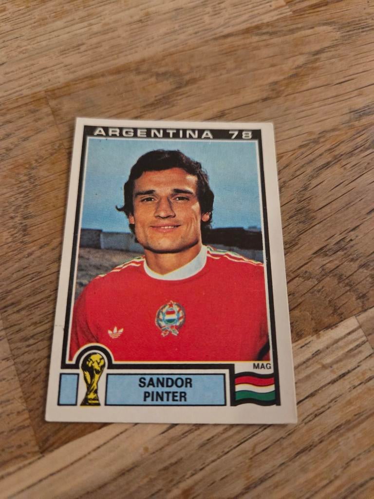 Panini WK 78, Ophalen of Verzenden, Zo goed als nieuw, Buitenlandse clubs, Poster, Plaatje of Sticker