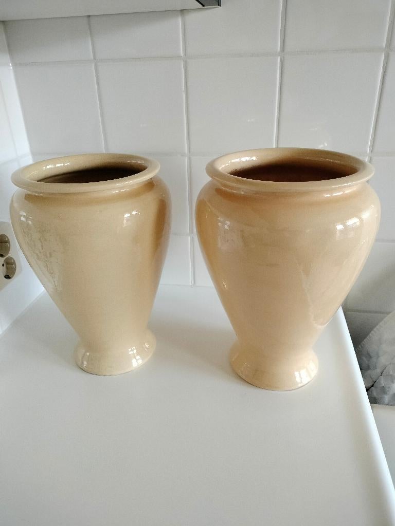 2x Binnen Bloempot (Als Nieuw), Huis en Inrichting, Kamerplanten, Minder dan 100 cm, Halfschaduw, Ophalen of Verzenden