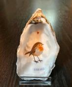 Roodborstje vogeltje in een schelp de mooiste kunst voor jou, Ophalen of Verzenden