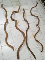 Nog enkele lianen, 2 meter lang, Nieuw, Ophalen, Tak, Plant, Rots of Steen