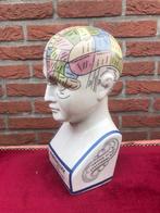 studiemodel frenologie, porselein, zgan, Antiek en Kunst, Ophalen of Verzenden