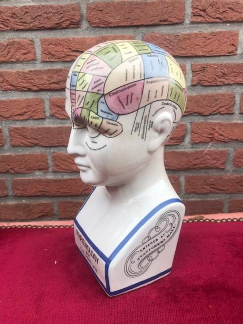 studiemodel frenologie, porselein, zgan, Antiek en Kunst, Curiosa en Brocante, Ophalen of Verzenden