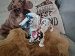 Kunst teckel, Verzenden, Nieuw, Hond of Kat, Beeldje of Figuurtje