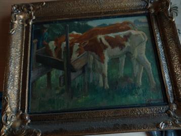 Kalveren met boer beschikbaar voor biedingen