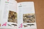 Vogels — Nederland en omringende Landen — Veldgids, Boeken, Ophalen of Verzenden, Gelezen, Vogels