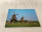 Zaandam.     Molen ,, De Kat” en molen ,, De Zoeker”, Ophalen of Verzenden, Voor 1920, Noord-Holland
