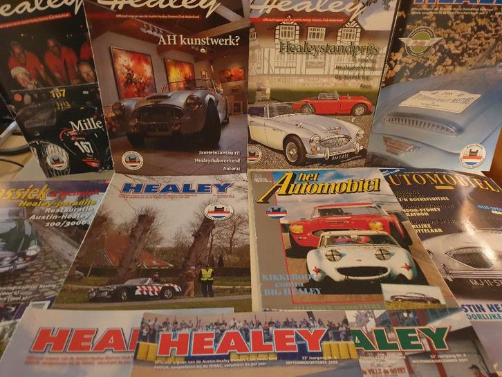 Austin Healey, Boeken, Auto's | Boeken, Zo goed als nieuw, Algemeen, Ophalen