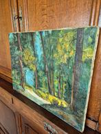 Prachtig vintage bos schilderij ( zeer mooie kleuren), Antiek en Kunst, Ophalen of Verzenden