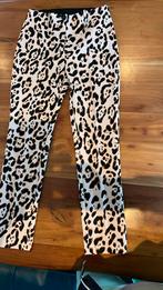 Marccain broek N2, Ophalen of Verzenden, Zo goed als nieuw, Maat 36 (S), Lang