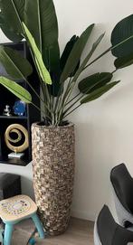 Eric Kuster vaas met plant(260cm), Ophalen, 40 cm of meer, Rond, Binnen