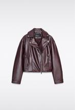 Zara leren jas bordeaux, Zara, Nieuw, Ophalen of Verzenden, Maat 34 (XS) of kleiner