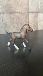 Schleich Arabisch veulen, 13762 - paarden, Ophalen of Verzenden, Gebruikt