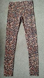 Panter legging WE maat 158-164 nieuw zonder prijskaartje, Broek, WE, Meisje, Nieuw