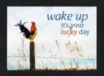 Haan Kip Wake Up It's Your Lucky Day., Ophalen of Verzenden, 1980 tot heden, Ongelopen, Vogel