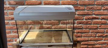 Superfish 60*30*30 beschikbaar voor biedingen