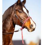 EDIX westernhoofdstel bosal, Ophalen, Springen