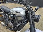 Yamaha XSR 700 LEGACY (bj 2024), 2 cilinders, Bedrijf, Meer dan 35 kW, 689 cc