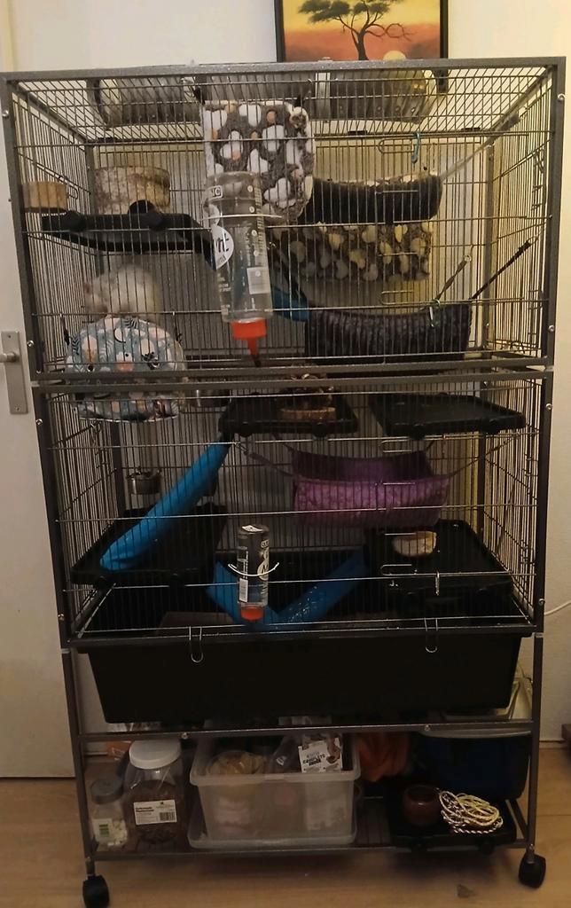 Extra grote knaagdieren/ratten kooi, Dieren en Toebehoren, Knaagdieren en Konijnen | Hokken en Kooien, Kooi, 90 cm of meer, 75 tot 110 cm