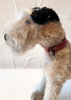 Zeer zeldzame antieke STEIFF Fox Terrier jaren 30 met knop, Ophalen of Verzenden