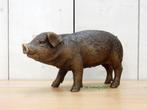 063* bronzen varken (boven €75 geen verzendkosten), Tuin en Terras, Tuinbeelden, Ophalen of Verzenden, Nieuw, Overige materialen